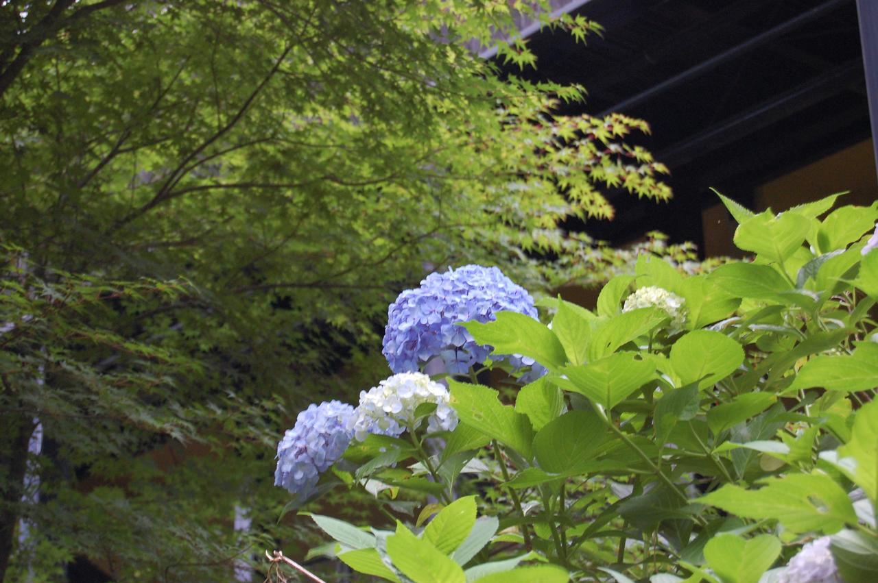 Kunihiro Yashiki Hotell Nasu Exteriör bild
